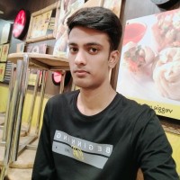 Mirza Mohsin Beg