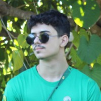 Ricardo Henrique Silva Rodrigues