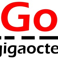 Giga Octet
