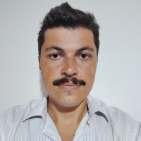 Luiz Marcelo T. Alves