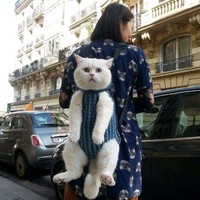 张嘉民
