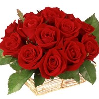S Archana