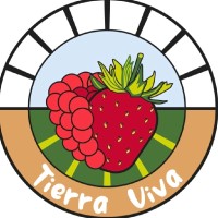 Dante Gutiérrez Medina