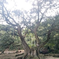 刘仲明