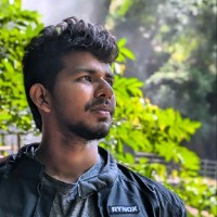 Karthik Raja R