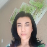 Simone O P Ferreira
