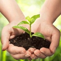Farmer'S Organic