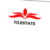 T Q