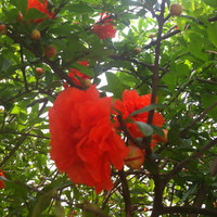 Belle Bestarcreations