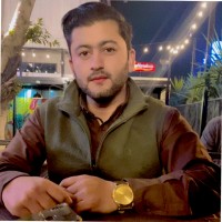 Hamza Abbasi