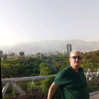Amanj Salih