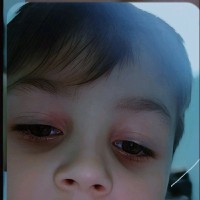Paun Ion