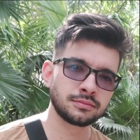Neacsu Mihai Vlad