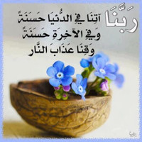 Tagreed Yaghi