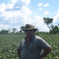 Fernando Cibils