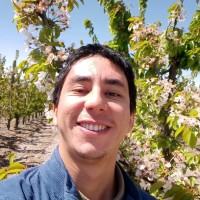 Joaquín Alonso Carrasco Romero