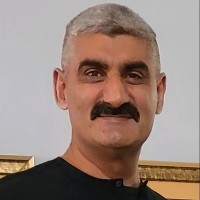 Raheel Rafique