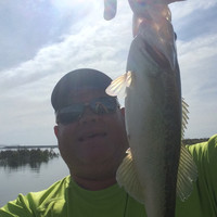 Scotty Wade