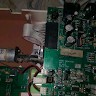 Biomedical Engineer