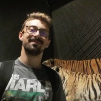 Thibault Pinheiro