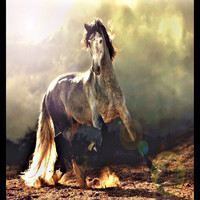 Fernando Perez Aguilar