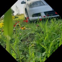 Aser_ Asr