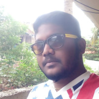 Palanisamy K
