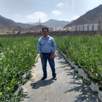 Andres Rocca Asencios