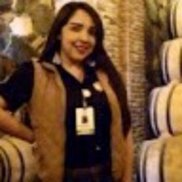 Cindy Vanessa Plascencia Flores