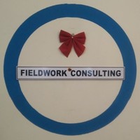FIELDWORK CONSULTING