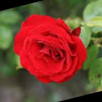 ليالي القمر