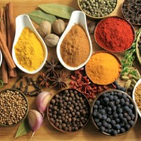 Maple International Agri Products