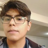 Brayan Adrian Galván Flores