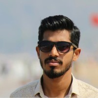Hari Krishnan Pp