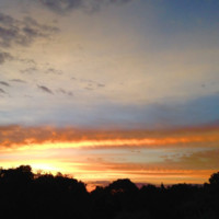 Dr. Pedro Resende resende