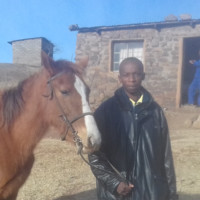 Thabiso Mathaba
