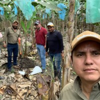 Jefferson Avila Clemente