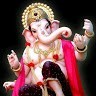 Mukesh Khare