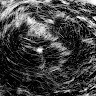 Susana Wang