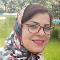 Parisa Mehdifar
