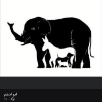 Sameh Baddar