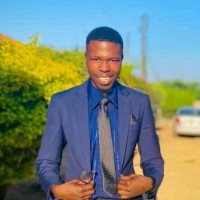 Hamilton Chidawanyika