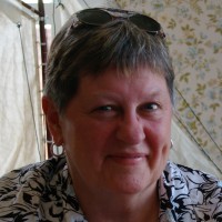 Catherine L Langille