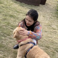 郑灵芝