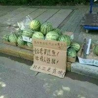 刘鹏珍