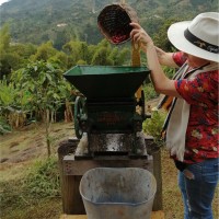 Yasmin Shirley Valderrama Valderrama