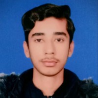 Amber Hussain