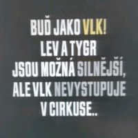 Petr Zemlicka