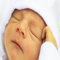 Kimi Abd