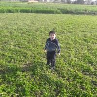 Mahmoud Ahmed